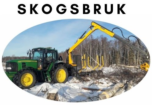Skogsentreprenad