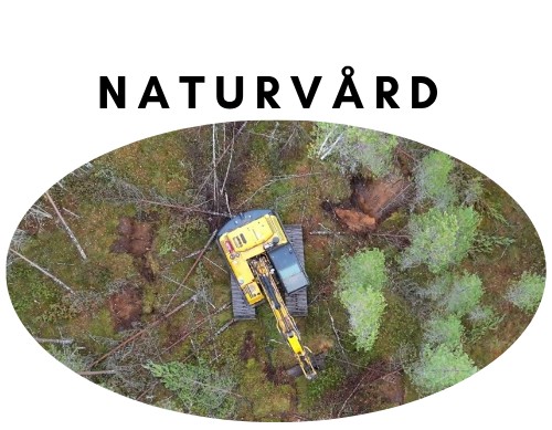 Naturvård